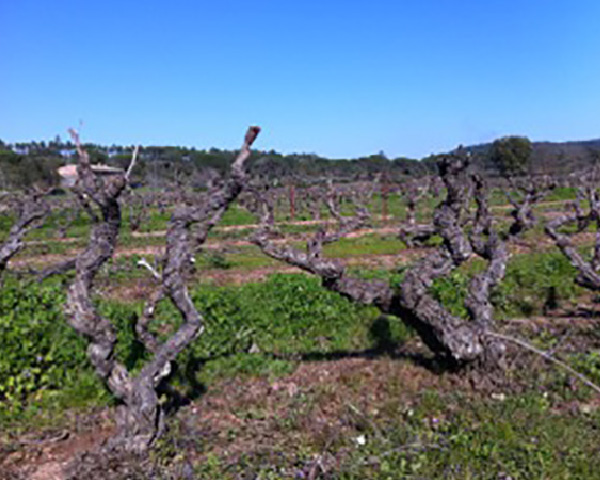 Provence, France (Private)
